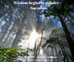 Day 130 wisdom begins in wonder