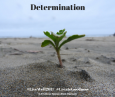 Day 131 Determination