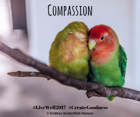 Day 150 compassion