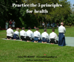 Day 203 5 principles of health (1)